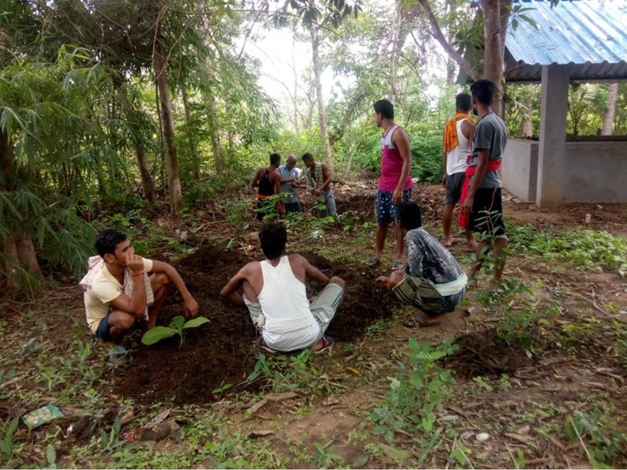 Rehabilitation & Training