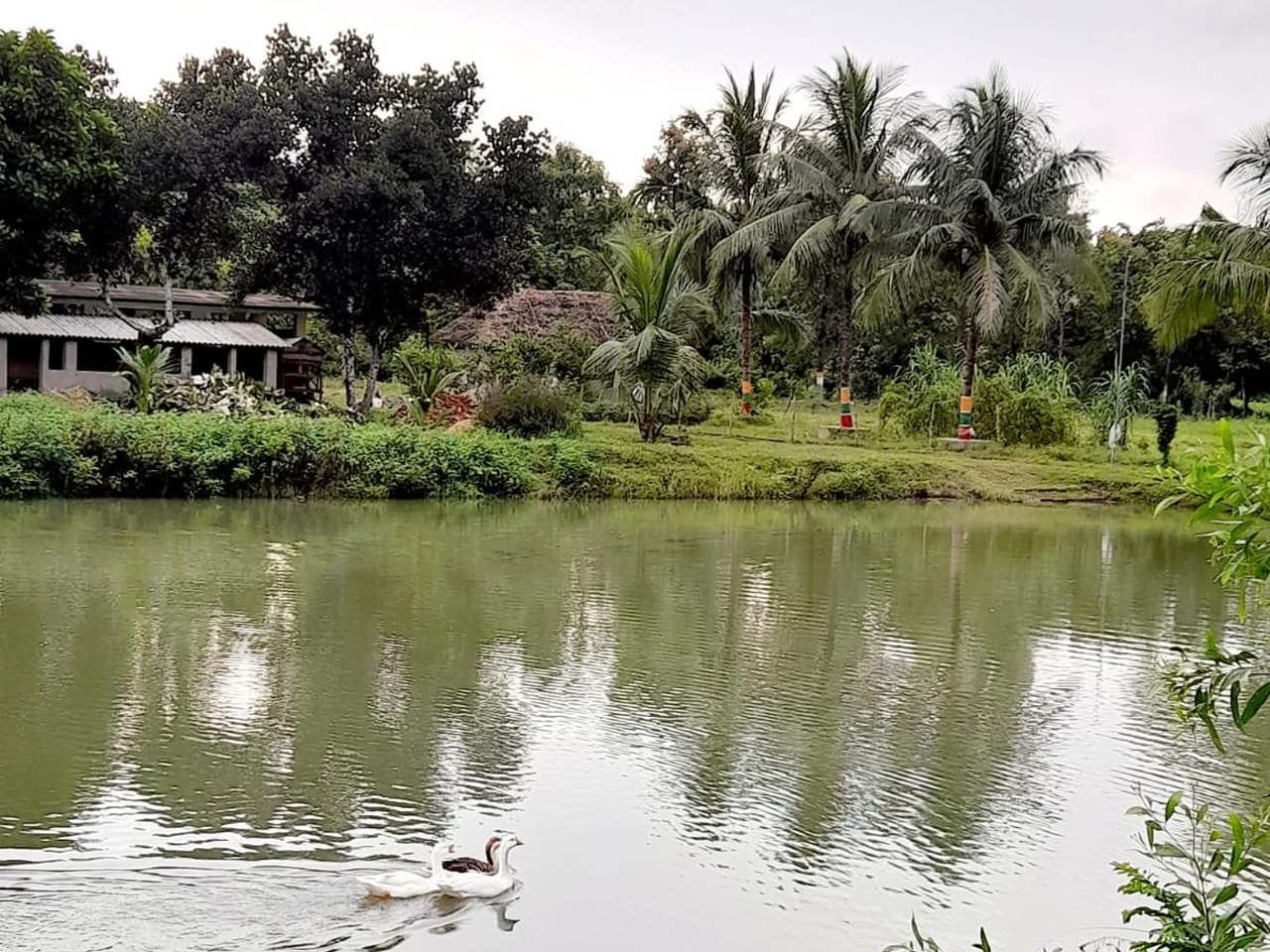 POND FOR THE RAIN WATER HARVESTING